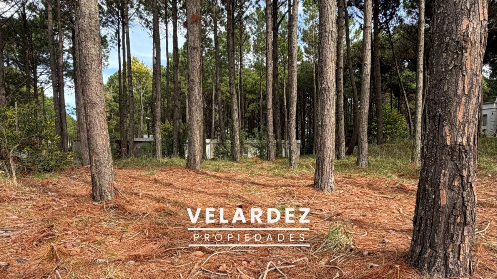 Lote en venta - Pinamar Norte