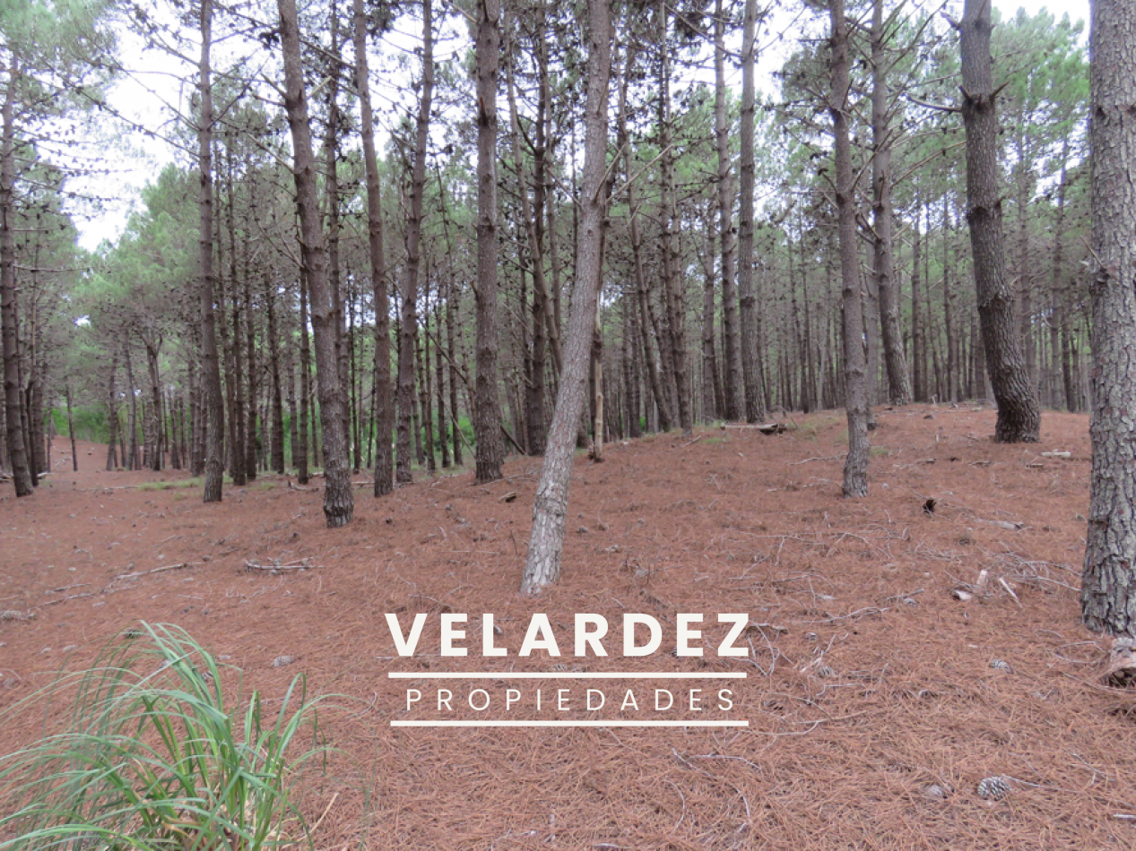 Lote en venta Villa Robles