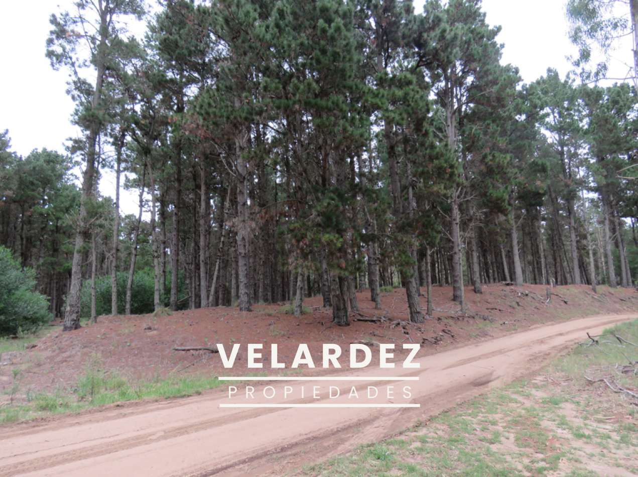 Lote en venta Villa Robles