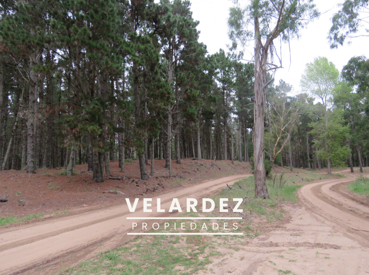 Lote en venta Villa Robles